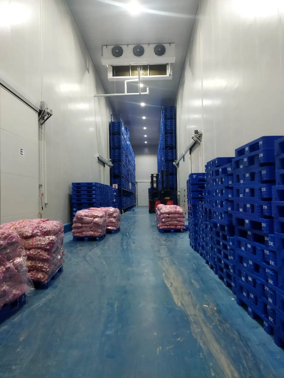 Cold Storage Bekasi - foto 7