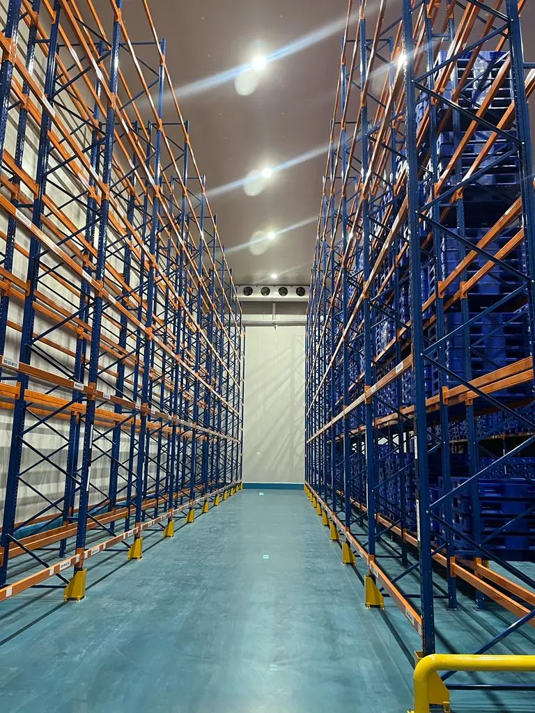 Cold Storage Bekasi - foto 13