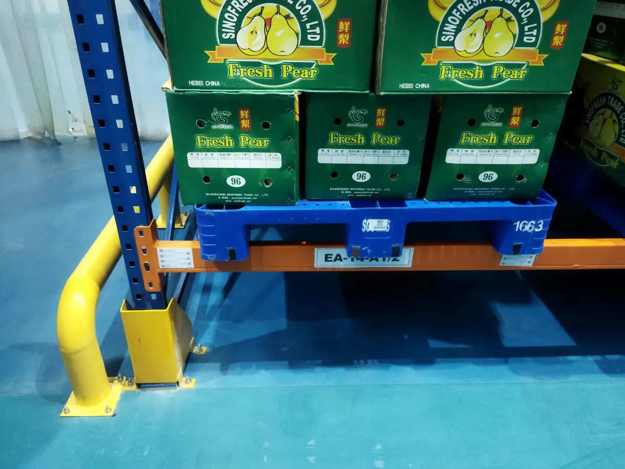 Cold Storage Bekasi - foto 19