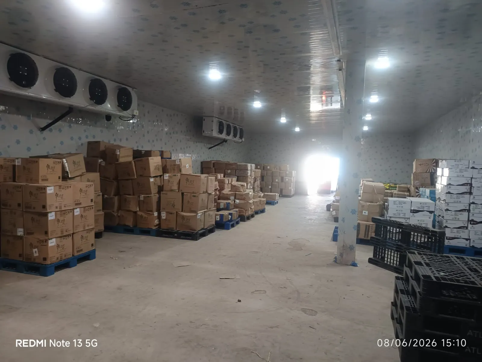 Dedicated Cold Storage Area Surabaya
