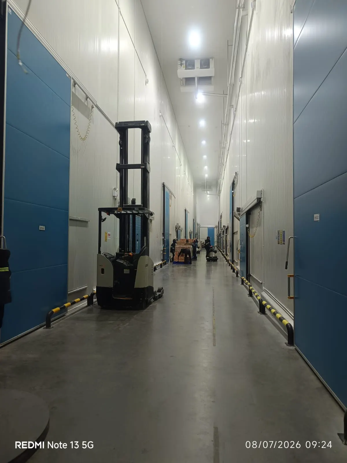 Cold Storage Surabaya - foto 4