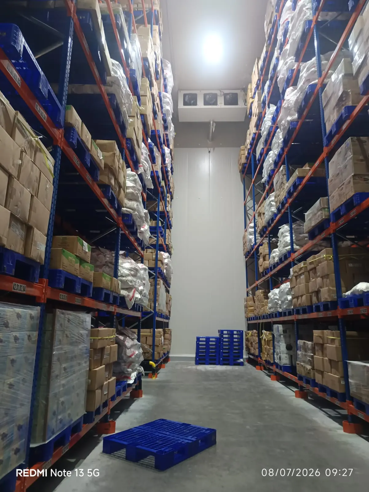 Cold Storage Surabaya - foto 6