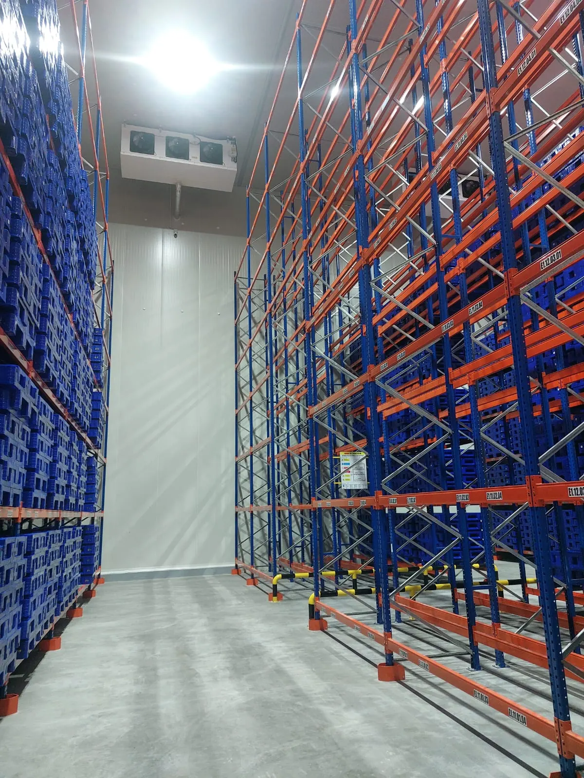 Cold Storage Surabaya - foto 8